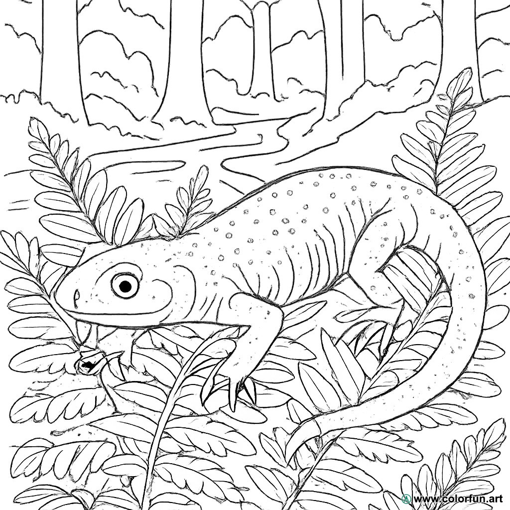 desenhos para colorir de salamandra realista