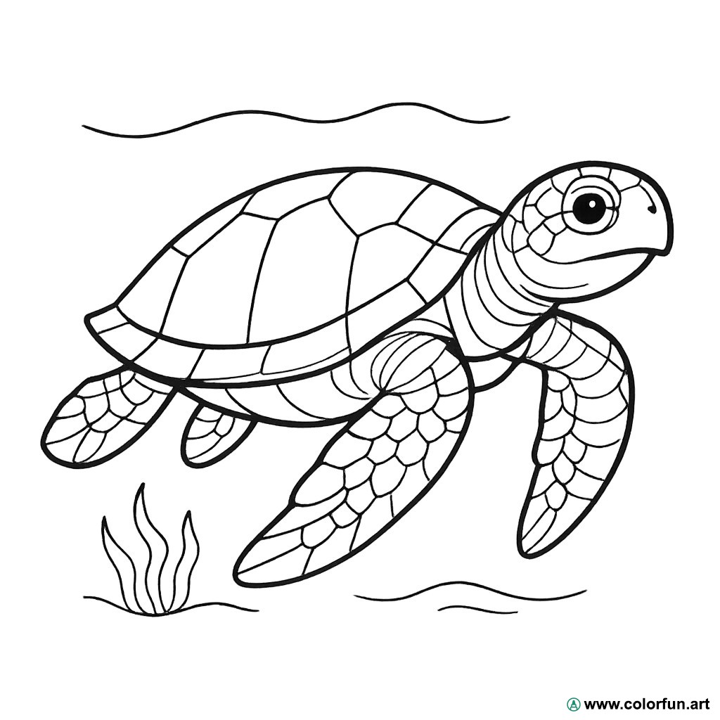 desenhos para colorir tartaruga marinha realista