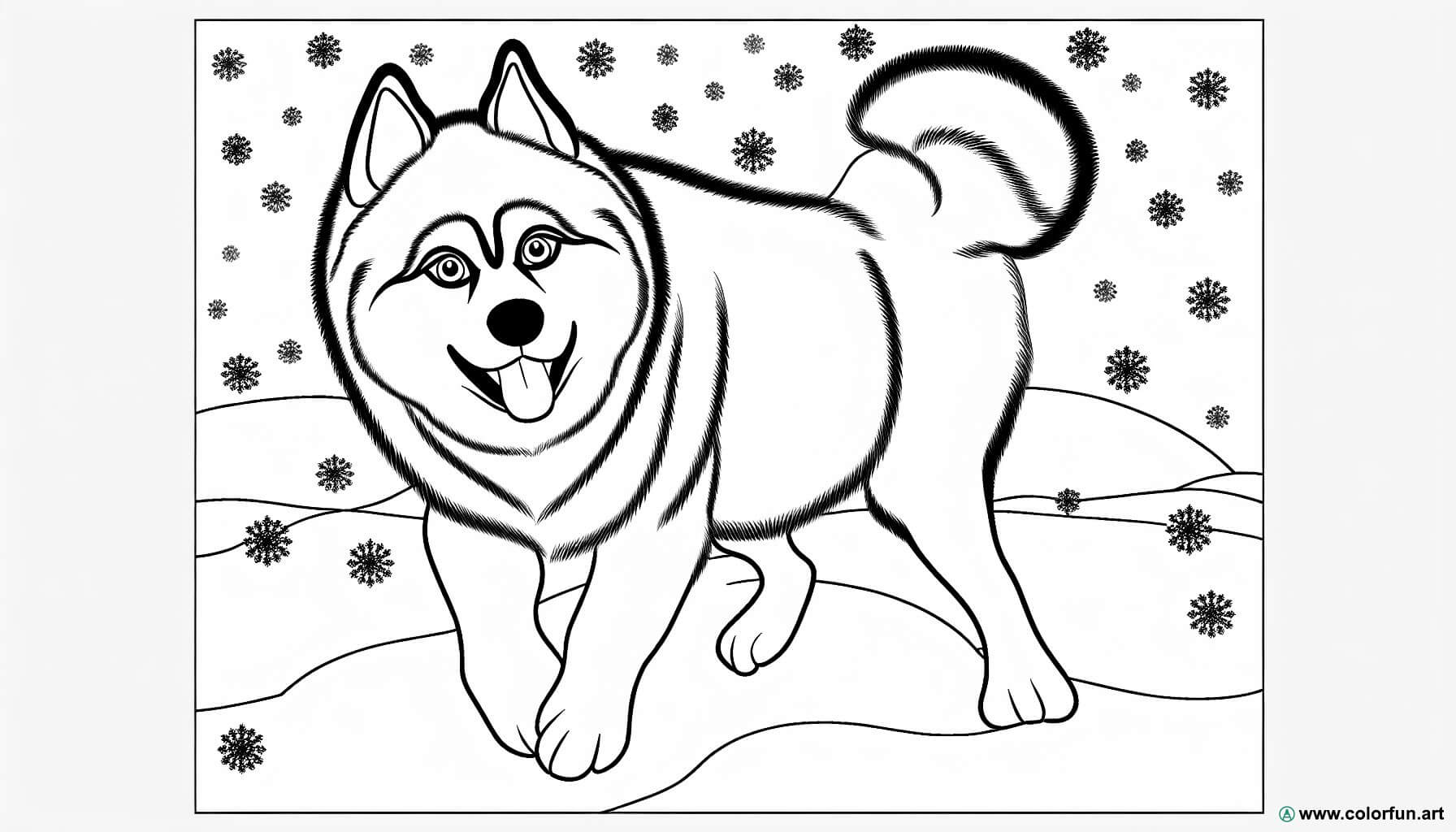 desenhos para colorir husky realista