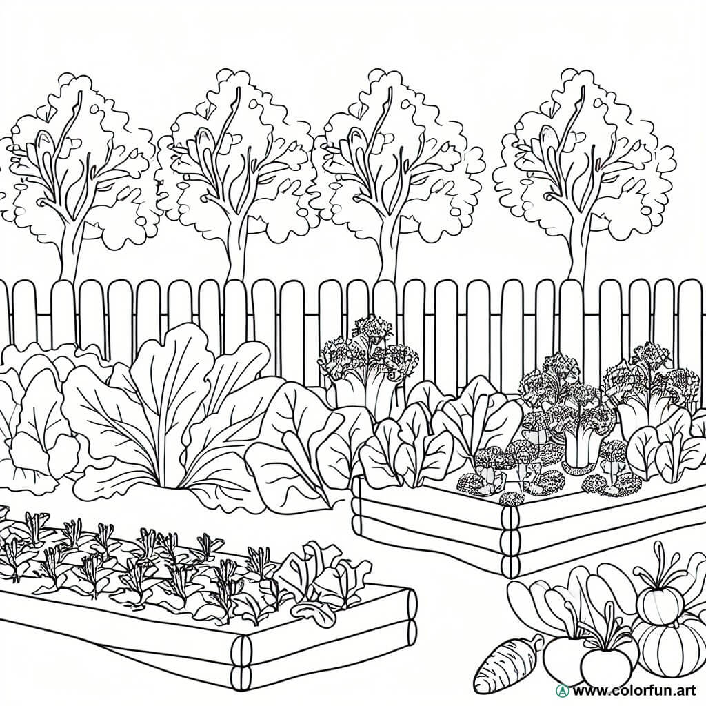 desenhos para colorir horta