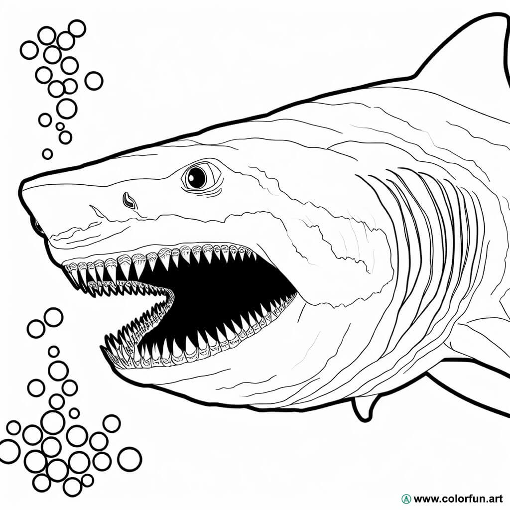 desenhos para colorir tubarão megalodon realista