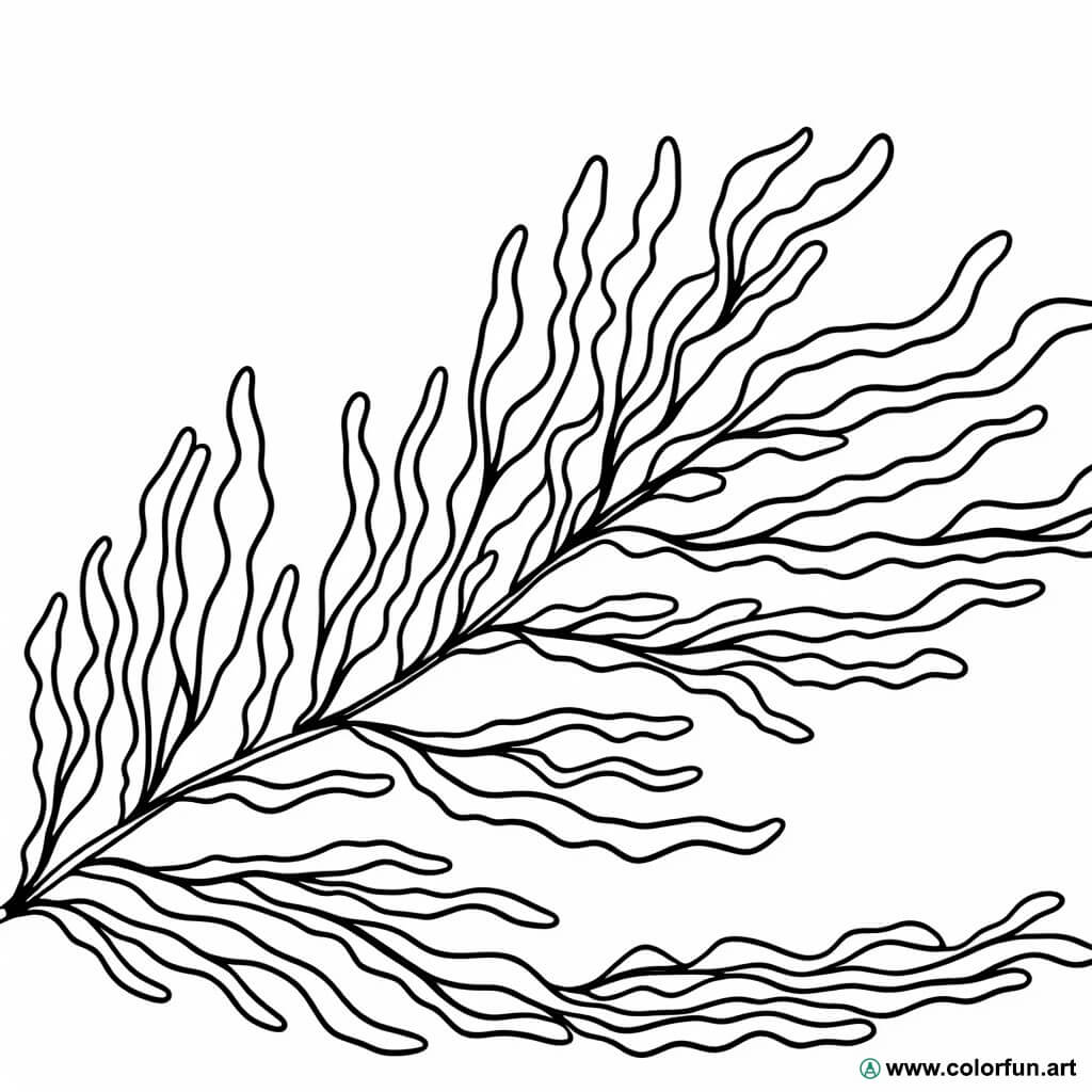 Desenhos para colorir de alga marinha Para Baixar ou Imprimir gratuitamente