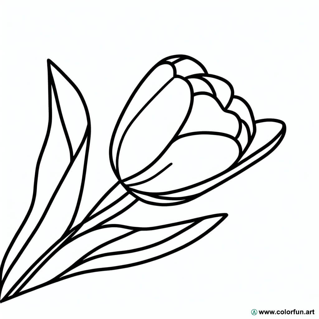 desenhos para colorir tulipa realista