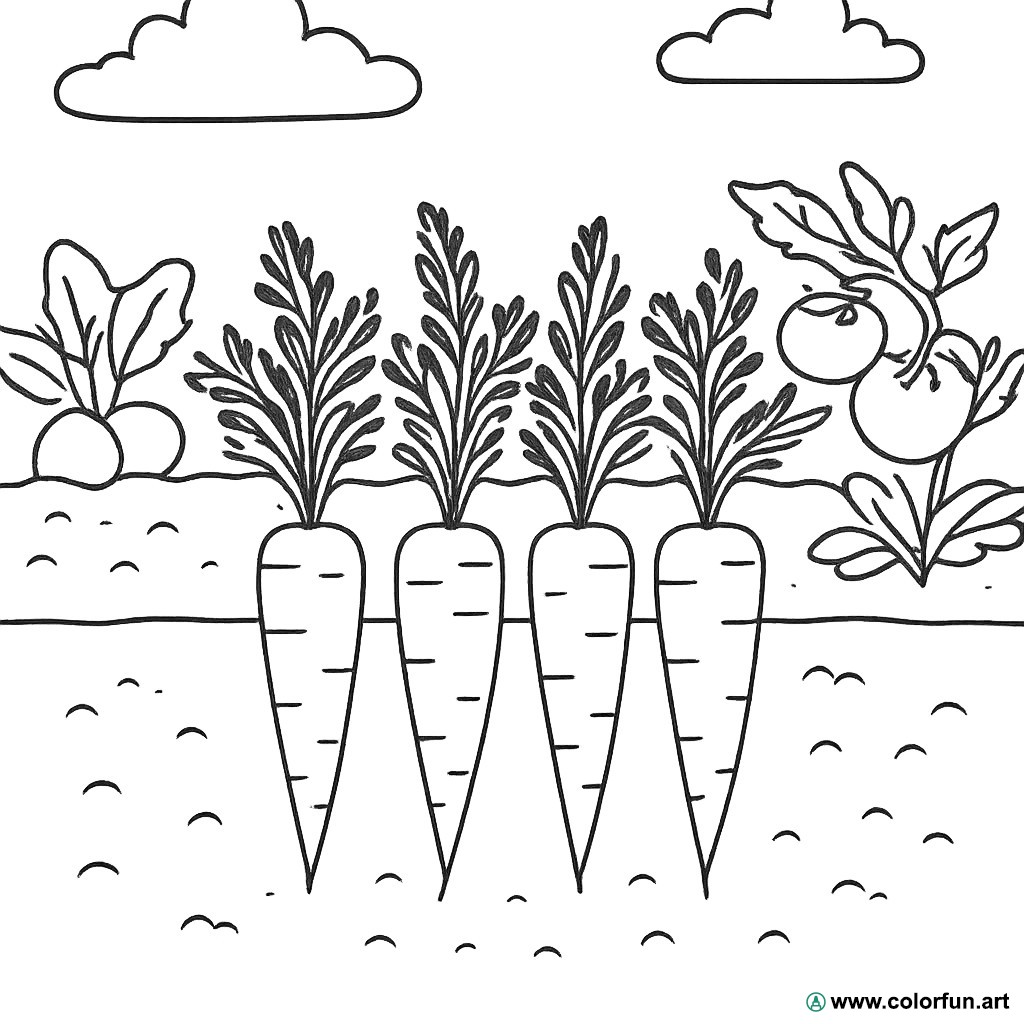 desenhos para colorir cenouras horta