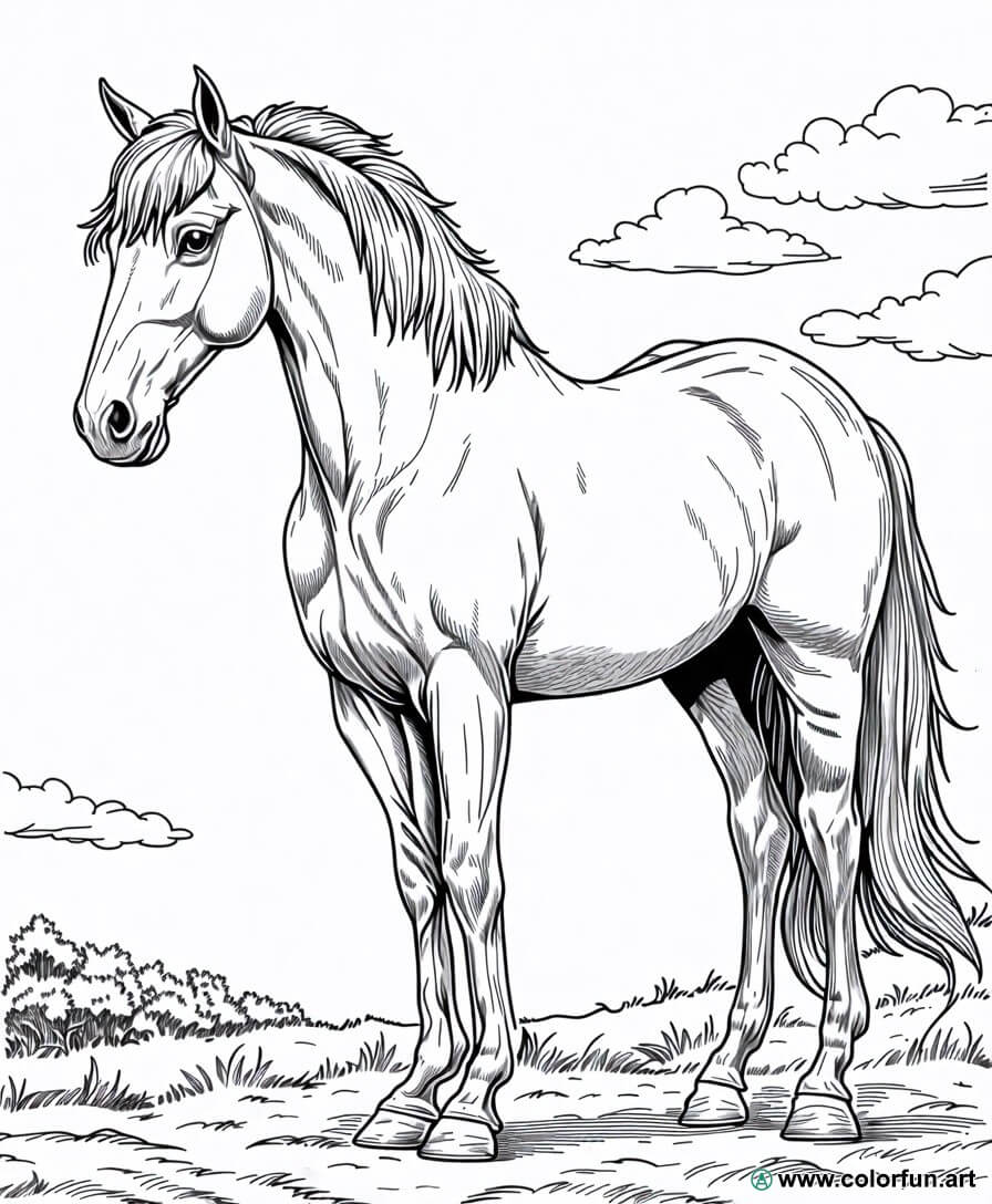 Desenhos para colorir de um cavalo realista Para Baixar ou Imprimir ...