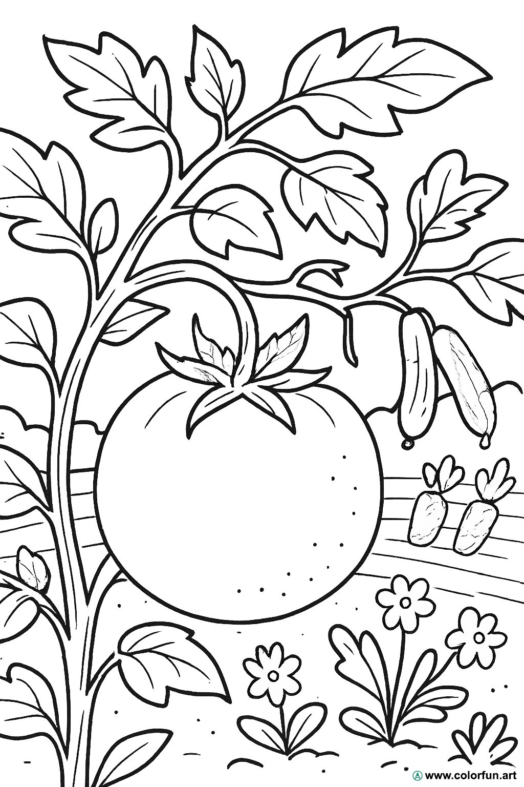 desenhos para colorir tomate horta