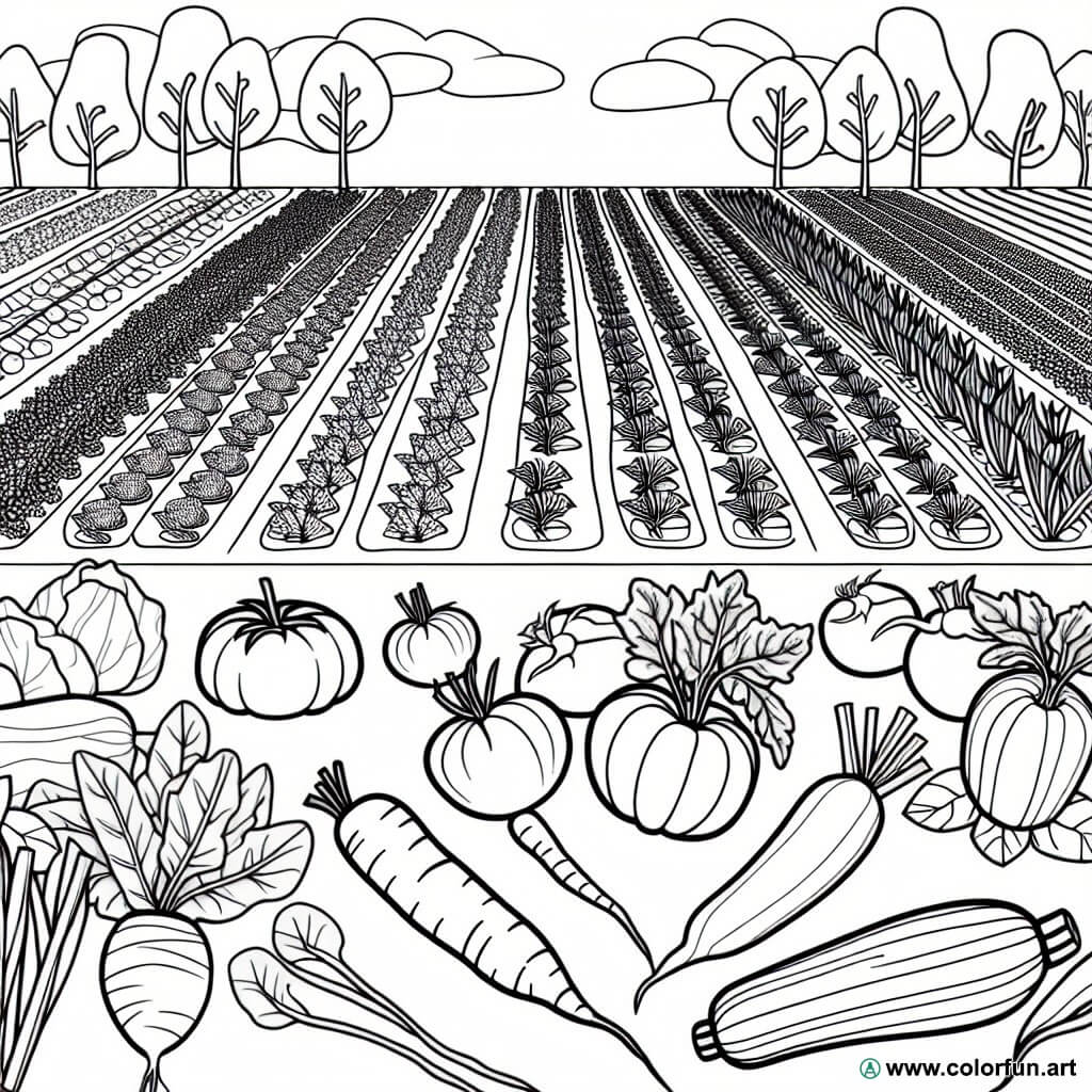 desenhos para colorir legumes horta