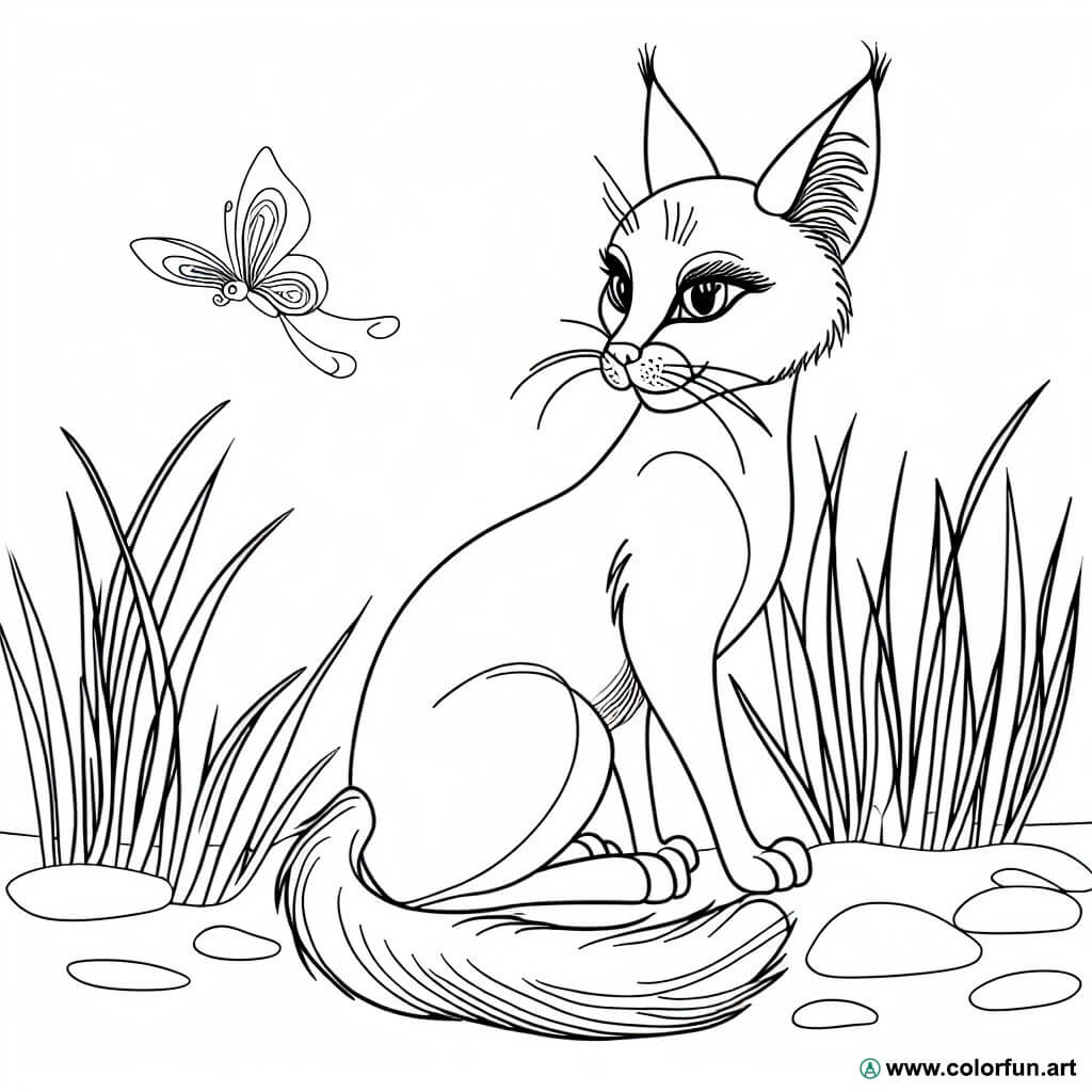 desenhos para colorir gato realista