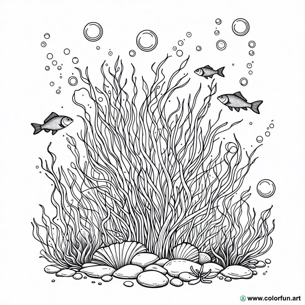 Desenhos para colorir de algas marinhas Para Baixar ou Imprimir ...