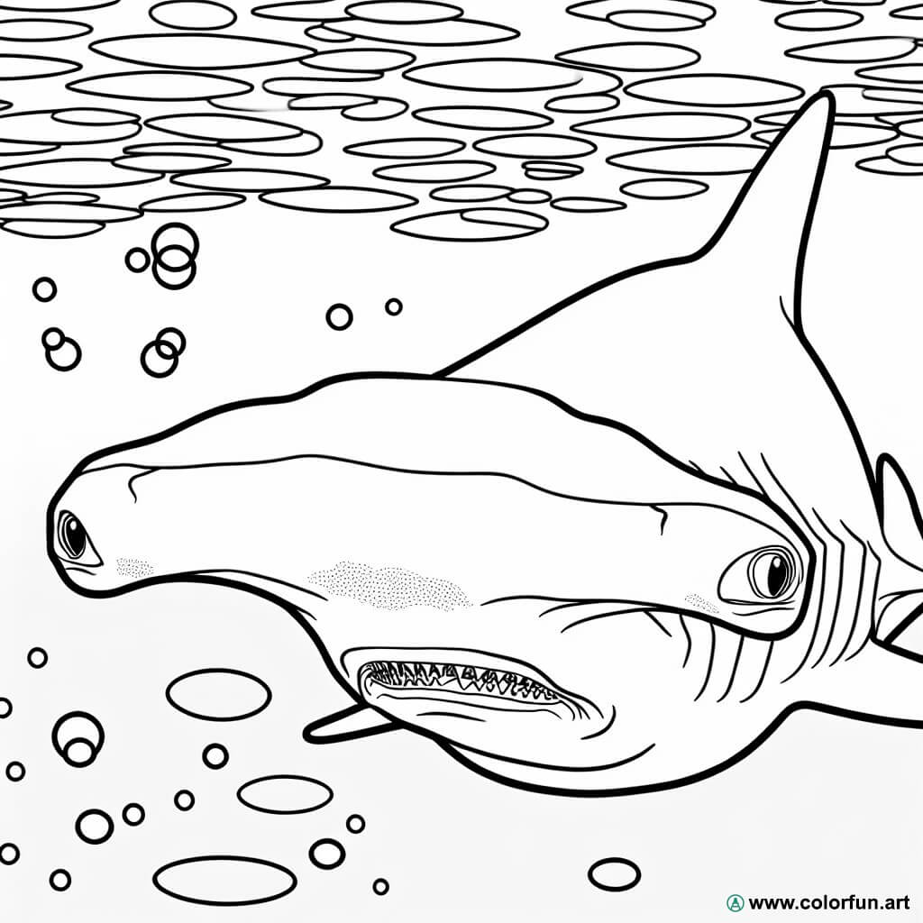 desenhos para colorir tubarão martelo realista