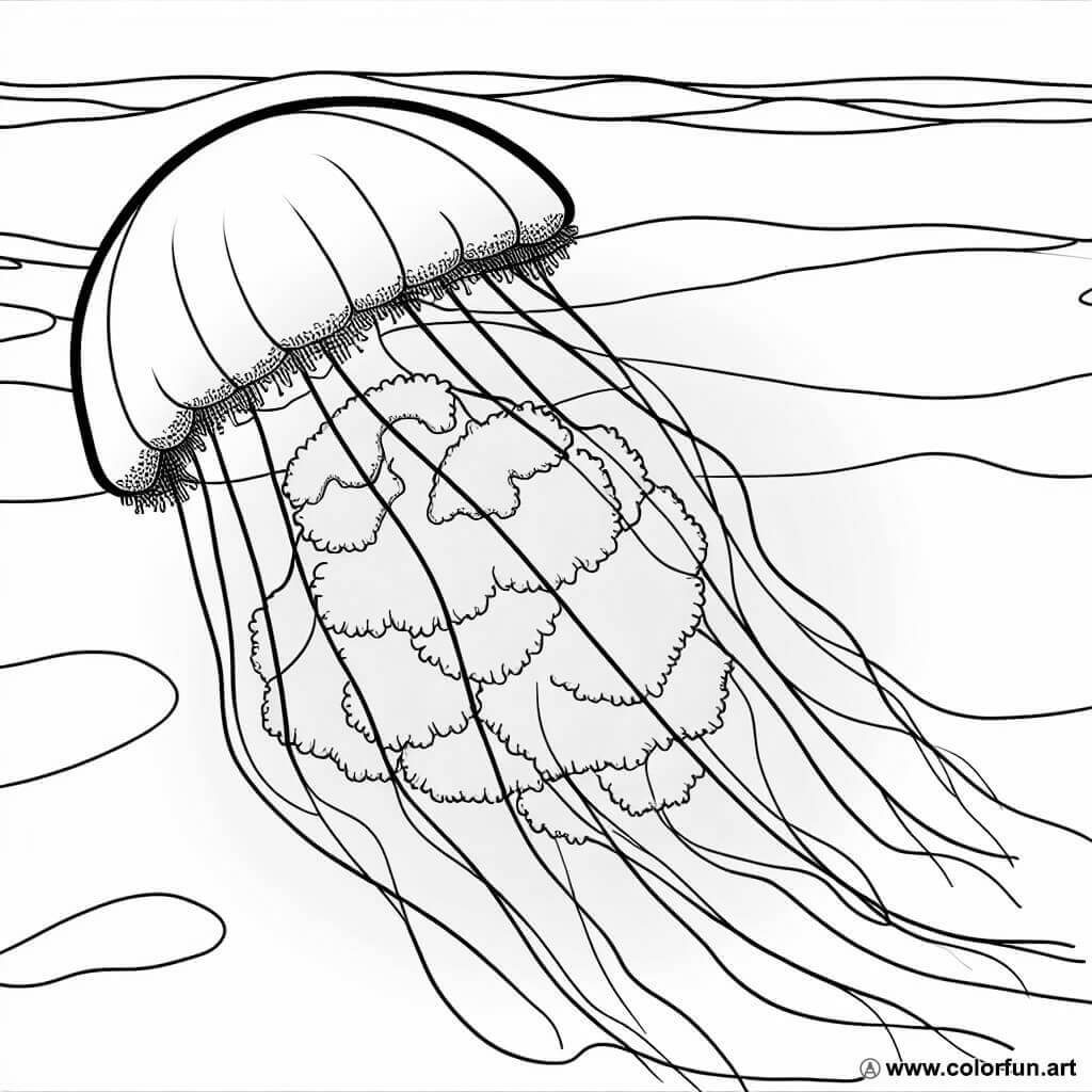 desenhos para colorir medusa realista